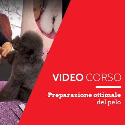 Preparazione ottimale del pelo
