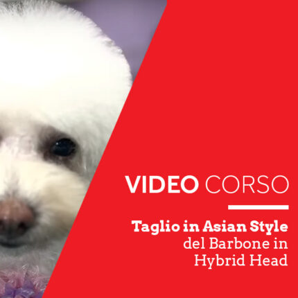 Taglio Asian Style del barbone in Hybrid Head