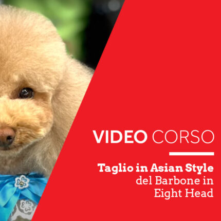 Acquista il Videocorso taglio in asian style del barbone in eight head