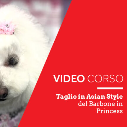 Acquista il Videocorso taglio in asian style del barbone in Princess